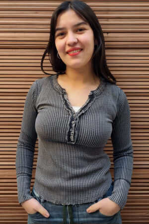 Camiseta Blusa Manga Larga Calidad Premium Importado India